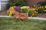 Amish-Crafted Decorative Peddler's Cart