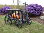 Wooden Goat Cart - Medium Premium