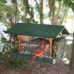 Amish Deluxe Poly Hopper Bird Feeder with Suet Cages - Hanging or Post Mount