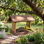 Amish Made Poly Mini Hanging Hopper Bird Feeder