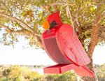 Bird-Shaped Hanging Feeder - Choose Your Bird!