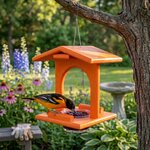 Amish Made Poly Single Oriole Bird Feeder Hanging