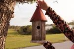 Rustic Garden Wren House