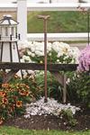 Buckeye Wooden Walking Cane with Handle