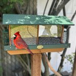 Large Poly Double Bird Feeder with Suet Cages Post Mount