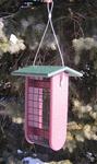 Poly Peanut Bird Feeder