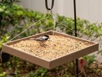 Amish Made Poly Hanging Tray Platform Bird Feeder