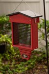 Amish Poly Large 2 LB Suet Bird Feeder