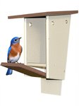 Amish Poly Bluebird House