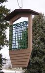 Amish Poly Single Suet Bird Feeder