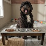 Amish Triple Bowl Dog Bowl Diner
