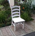 Poly Ladder Back Dining Chair