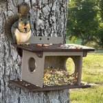 Eco Friendly Poly Squirrel Feeder