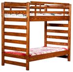 Ladder Loft Bunk Bed