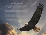 American Made If You Could See Me Now Inspirational Plaque