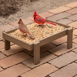 Poly Ground Open Platform Bird Feeder Seed Tray