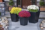 LuxCraft Poly Elite Garden Planter