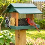 Amish Made Poly Classic Deluxe Post Mount Hopper Bird Feeder with Split Peanut and Suet Holders