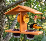 Amish Poly Double Oriole Bird Feeder with Jelly Jars and Orange Slice Pegs