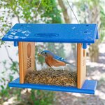 Amish Poly Bluebird Feeder for Mealworms with Entrance Hole - DutchCrafters Exclusive