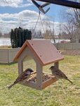 Amish Made Poly Urban Modern Bird Feeder - DutchCrafters Exclusive