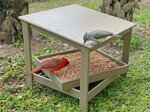 Amish Poly Modern Ground Bird Feeder with Removable Tray - DutchCrafters Exclusive
