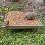 Amish Made Poly Lumber Tray Feeder - DutchCrafters Exclusive