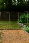 Folding Vegetable Trellis 5 Pack - Choose Size