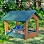 Poly Hopper Modern Bird Feeder - DutchCrafters Exclusive