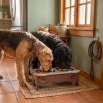 Amish Made Poly Lumber Large Raised Dog Bowl Feeder 8 Cups