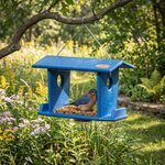 Amish Made Poly Hanging Bluebird Feeder for Mealworms