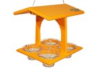 Poly Quad Oriole Bird Feeder