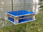 Poly Jail Bluebird Feeder In-Stock