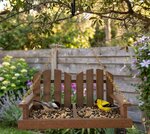 Amish Handcrafted Poly Lumber Adirondack Porch Swing Bird Feeder