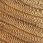 OCS Sample - Elm - 101-S2