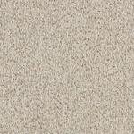 Heartland Upholstery Sample - Revolution - R1-112 - Prince