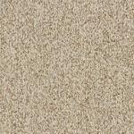 Heartland Upholstery Sample - Revolution - R1-113 - Pumpkin