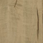 PCL Sample - Wormy Maple - Wicker