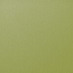 Berlin Gardens Poly Color Sample - Two-Tone Kiwi Green and White