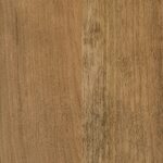 PCL Sample - Sap Cherry - Amaretto