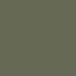 PCL Sample - Brown Maple - Muted Dark Olive