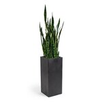 Amish MetroLine Poly Planter