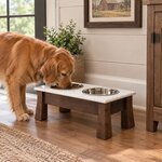 Amish Springville Double Bowl Dog Diner - Quick Ship