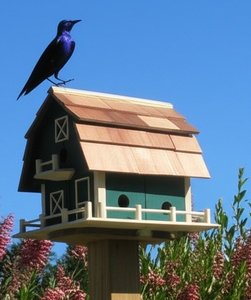 Handcrafted Barn Martin House with Six Compartments