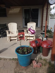 Two white outdoor glider chairs on a backyard patio.
