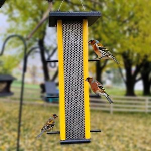 Poly Hanging Tall Finch Bird Feeder - Eco Friendly