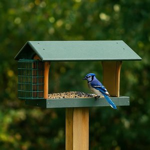 Recycled Poly Hopper Bird Feeder with Suet Holder - Hanging or Post Design