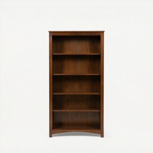 Treasure Economy Bookcase