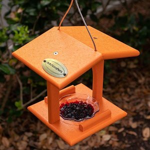 Poly Single Oriole Bird Feeder Hanging