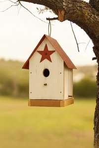 Handcrafted Rustic Wood Wren Bird House